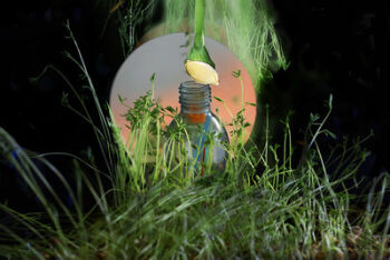 Le témoignage de Sèverine, ancienne élève edaaPix