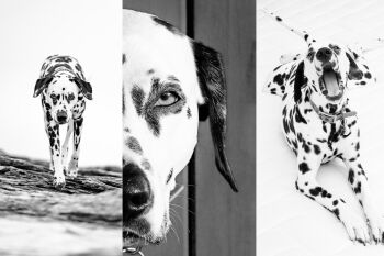 De professeure à photographe : le témoignage inspirant de Delphine